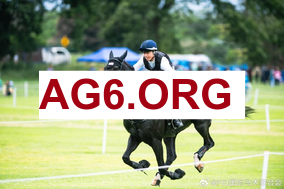 焦点战直播：圣埃蒂安对阵昂热